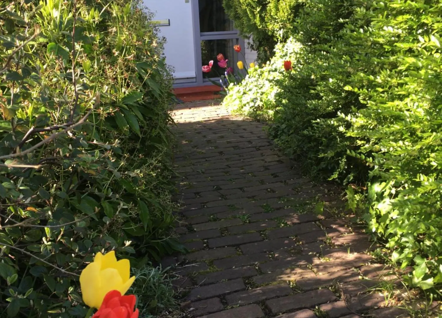 Wim'S Place Schiphol Amsterdam Airport Hoofddorp Bed & Breakfast